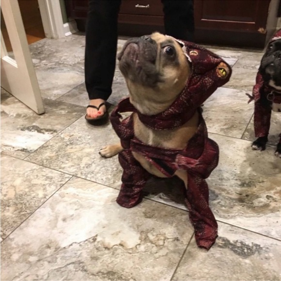 Like to be notified when I’m live - Picture 12 of 12